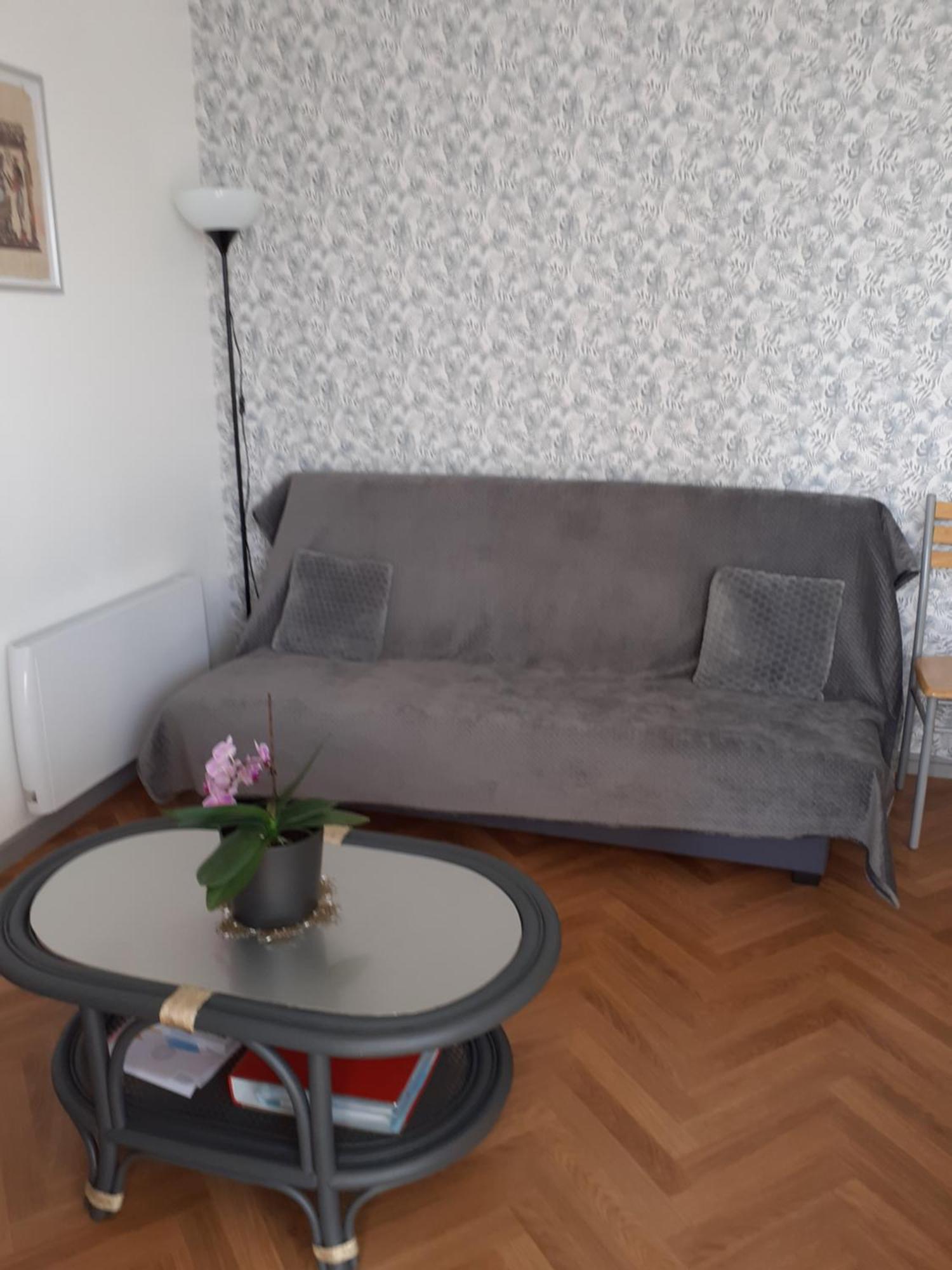 Appartement Pour Famille Amis Ou Colegue Шоле Экстерьер фото
